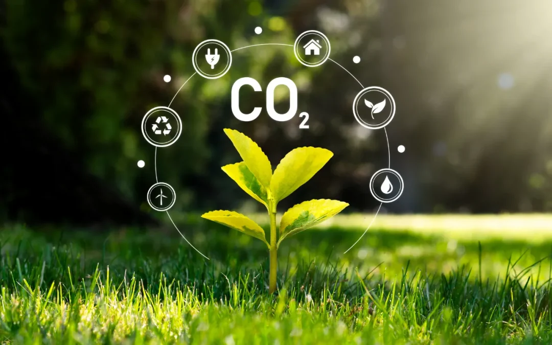 Diagnosis ambiental y estratégica de la sostenibilidad corporativa
