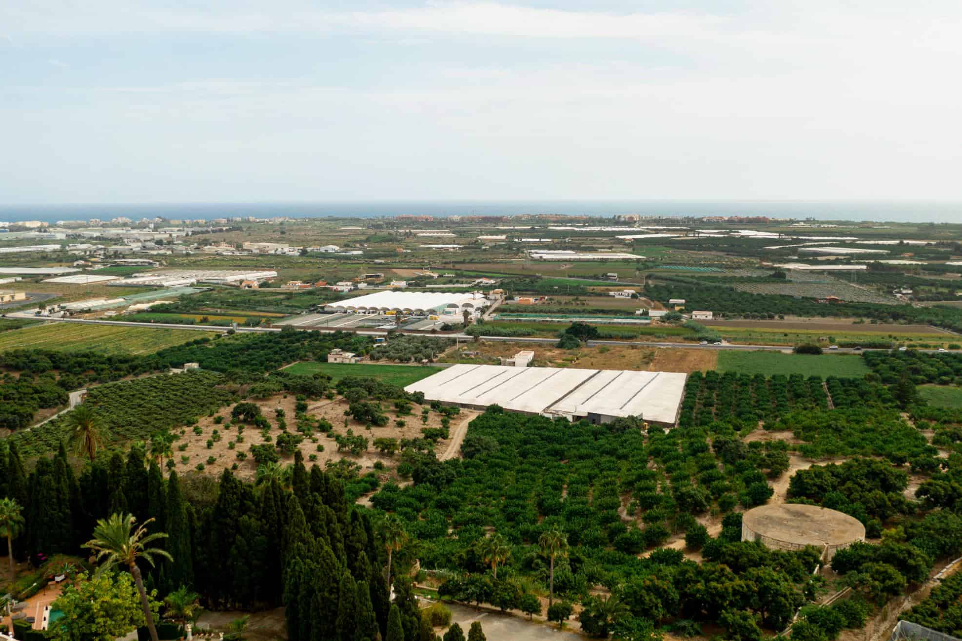 Aérea de huertos agrícolas y áreas verdes en un paisaje rural frente al mar.