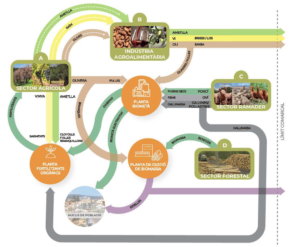 Esquema de simbiosis industrial y bioeconomía circular en la Terra Alta, que muestra los flujos de biomasa agrícola, forestal y ganadera hacia plantas de biometano, gestión de biomasa y fertilizantes orgánicos, conectando sectores agrícola, agroalimentario, ganadero y forestal.