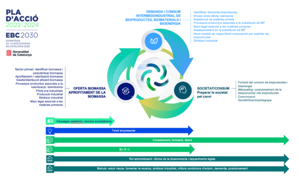 Dinamización del Plan de Acción 2025-2027 de la Estrategia de la Bioeconomía de Cataluña 2030