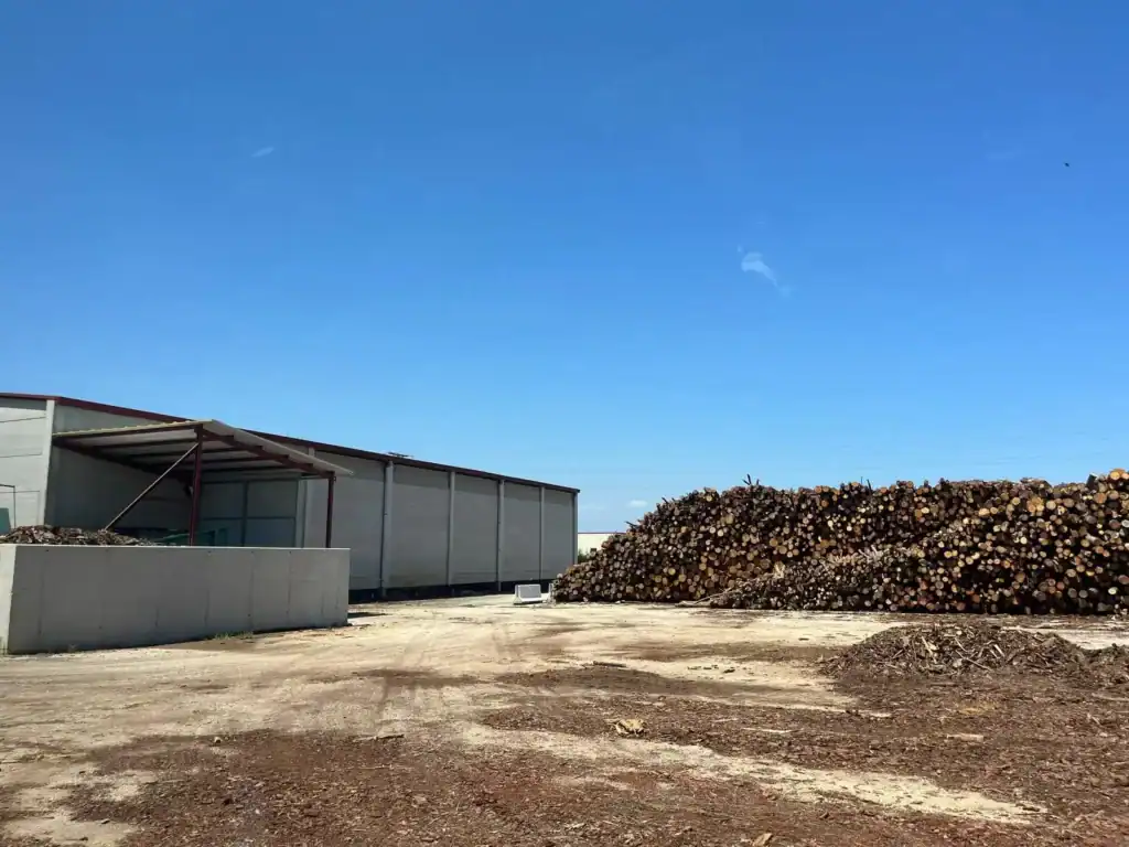 Planta de biomassa Hostalets de Pierola