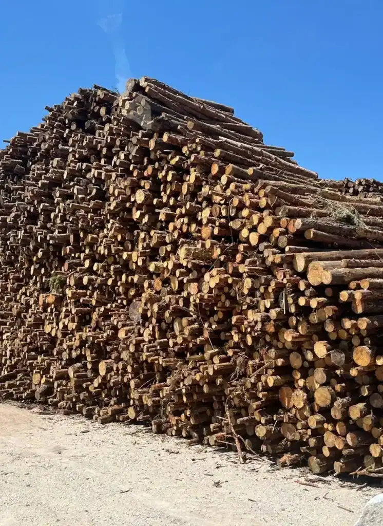 Residus forestals Hostalets de Pierola