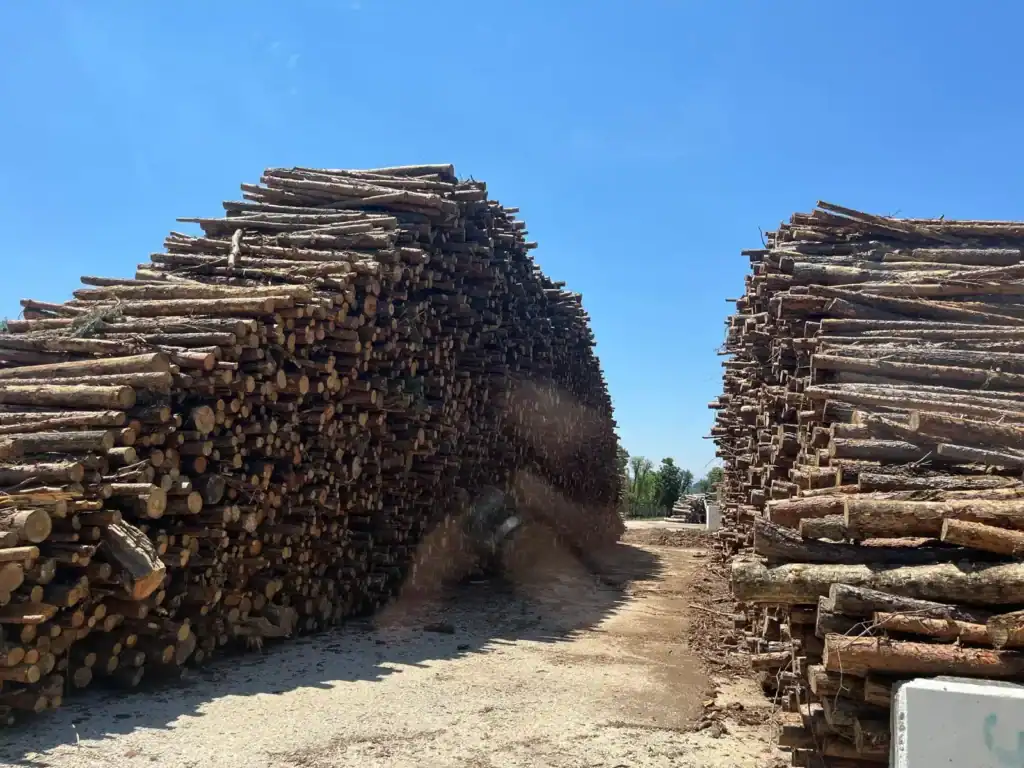 Residus forestals Hostalets de Pierola