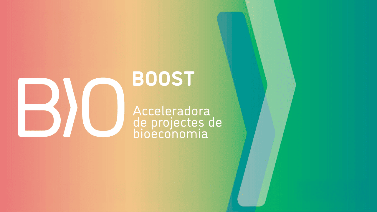 Aceleradora de proyectos de Bioeconomía