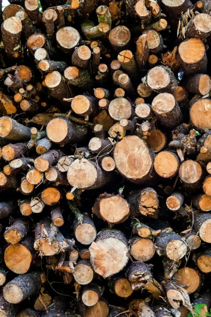 Fusta i residus forestals com a materials circulars